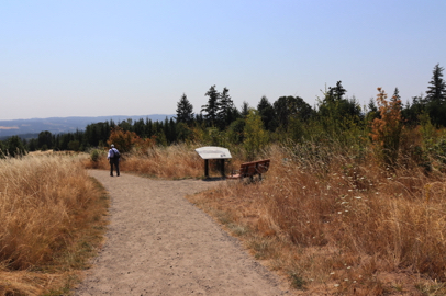 Bench and interpretive display along compacted gravel trail just west of Little Prairie Loop and Cooper Mountain Loop intersection